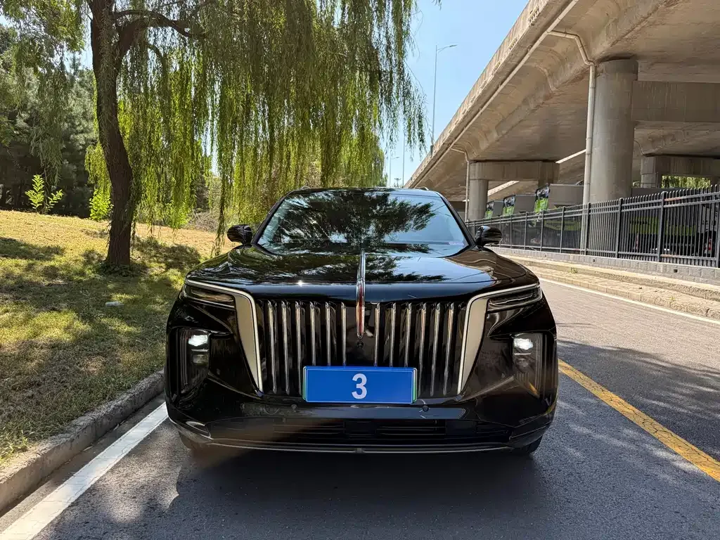 Hongqi E-HS9 — фото 10
