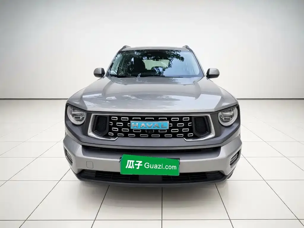 Haval Big Dog PLUS New Energy — фото 4