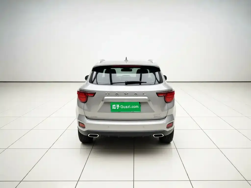 Haval Big Dog PLUS New Energy — фото 5