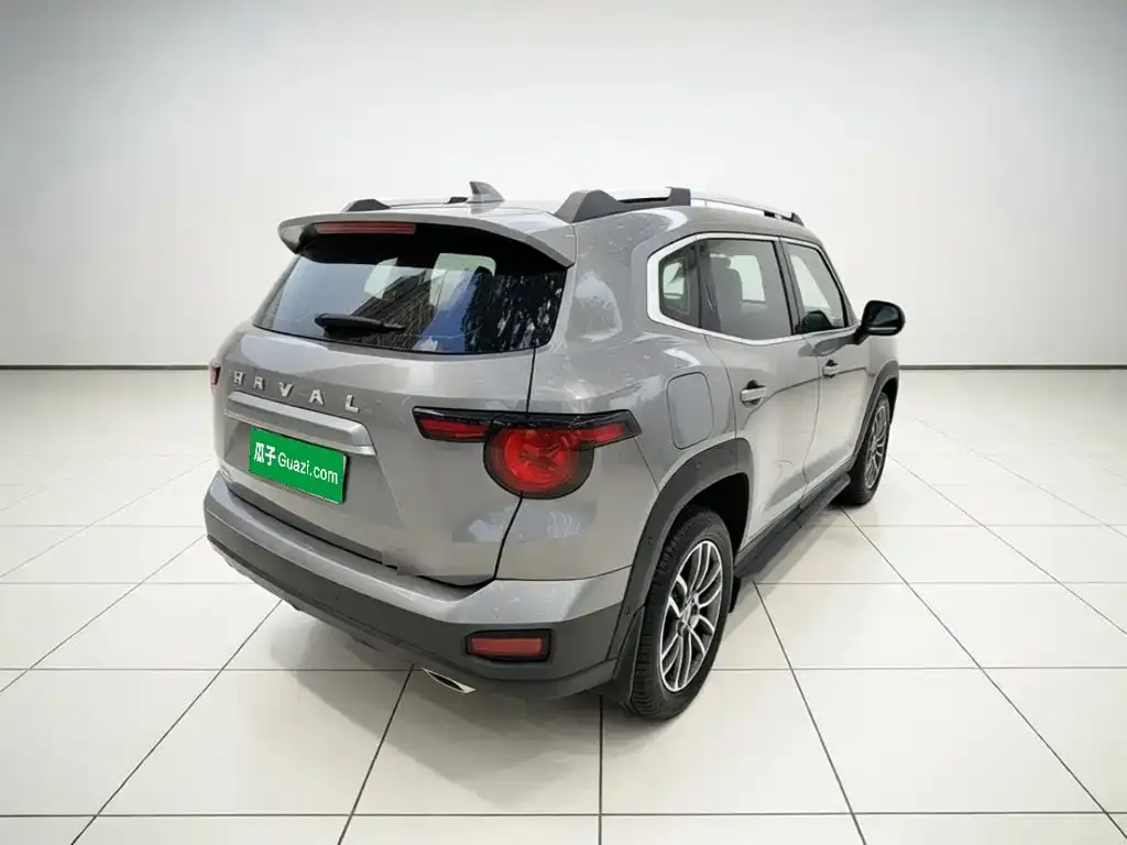 Haval Big Dog PLUS New Energy — фото 9