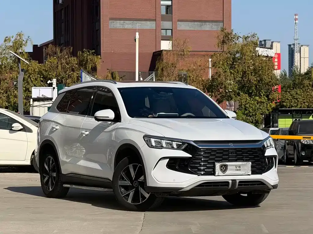BYD Pro New Energy — фото 9