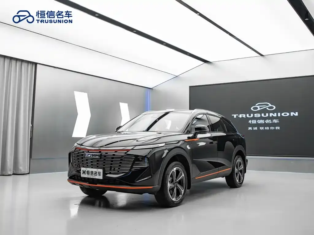 Haval Shenshou — фото 10