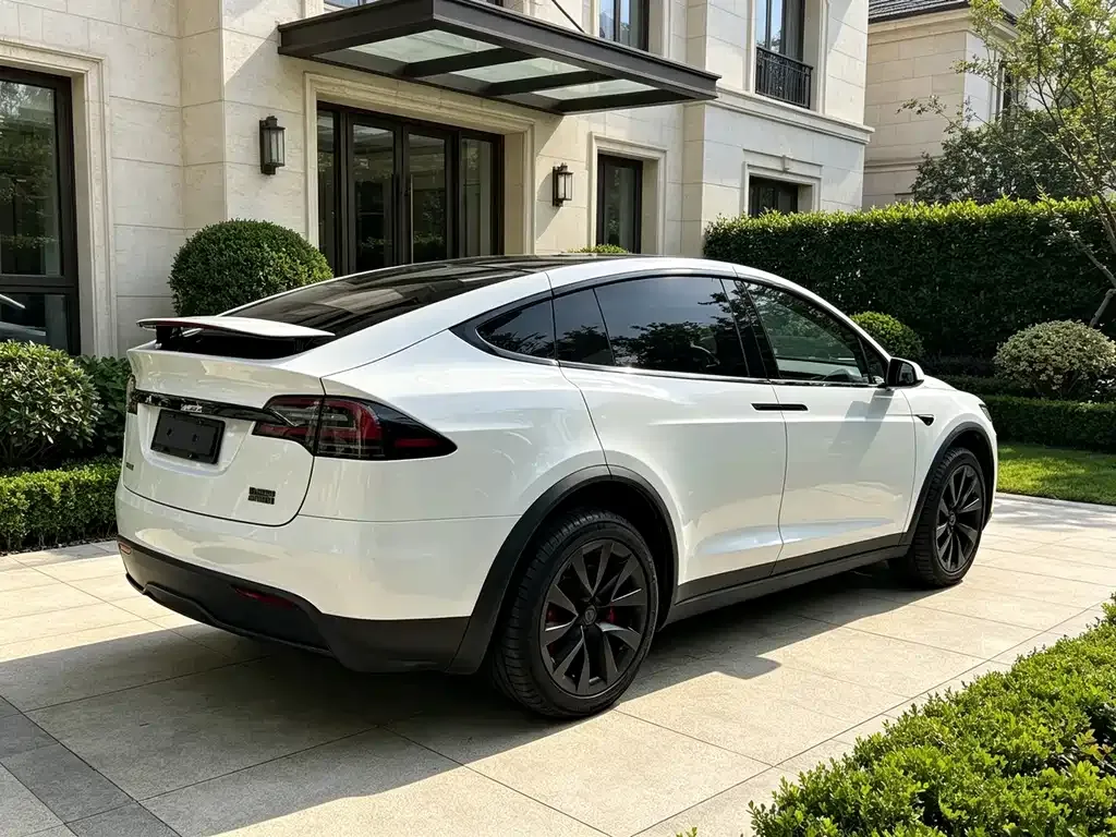 Tesla Model X — фото 8