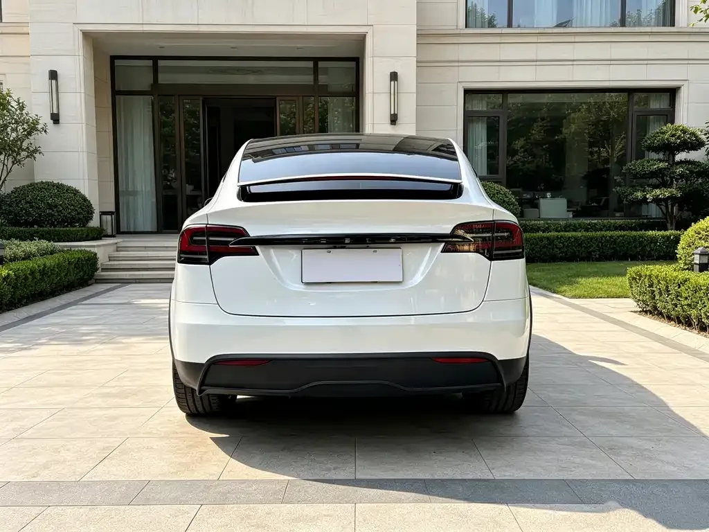 Tesla Model X — фото 9