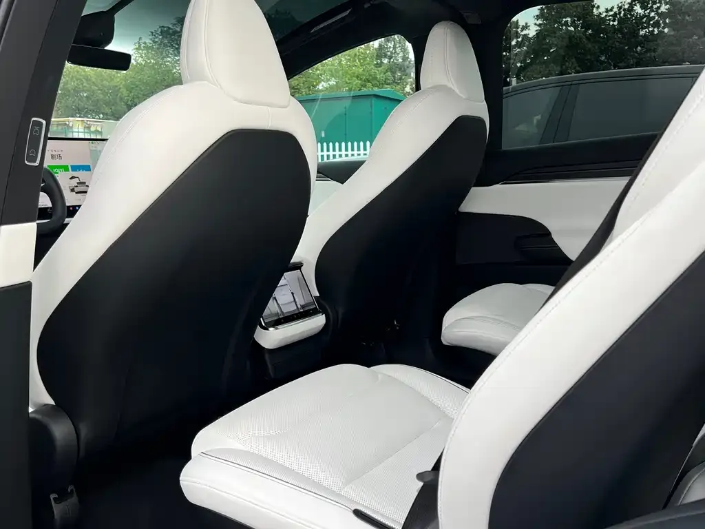 Tesla Model X — фото 5