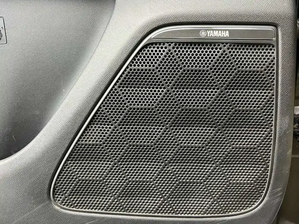 GAC Motor Trumpchi E9 — фото 9