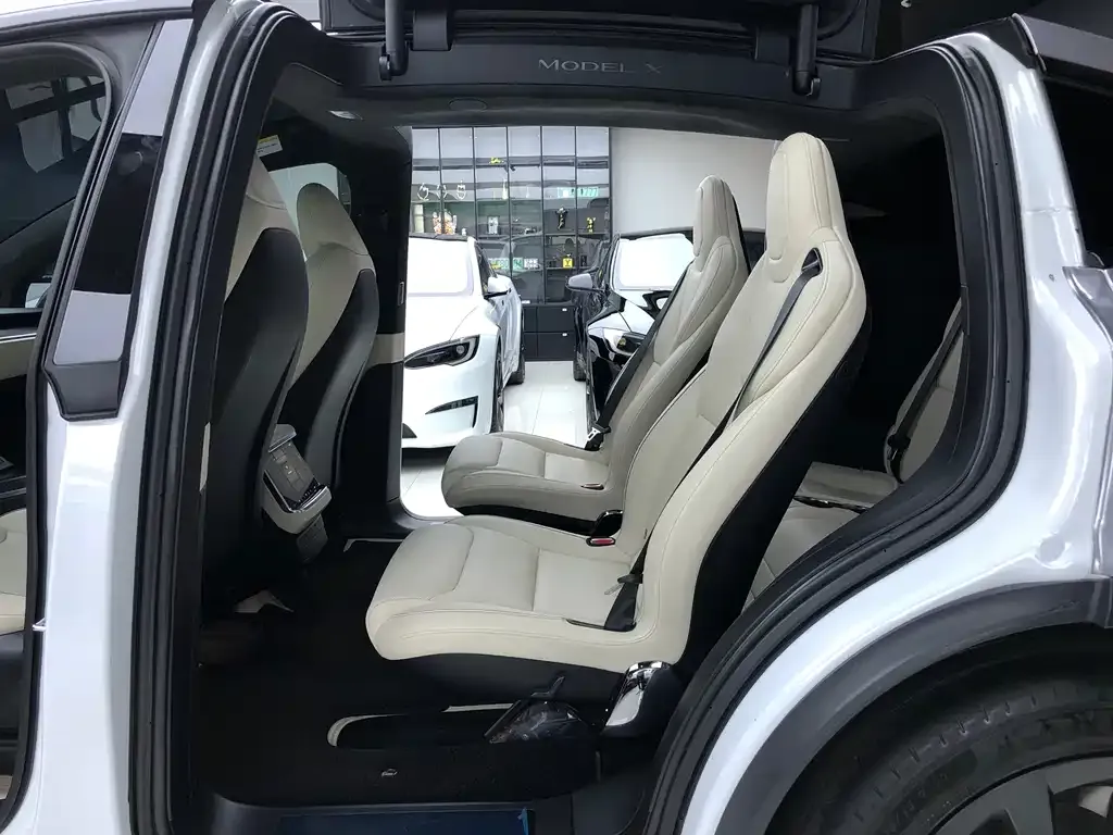 Tesla Model X — фото 8