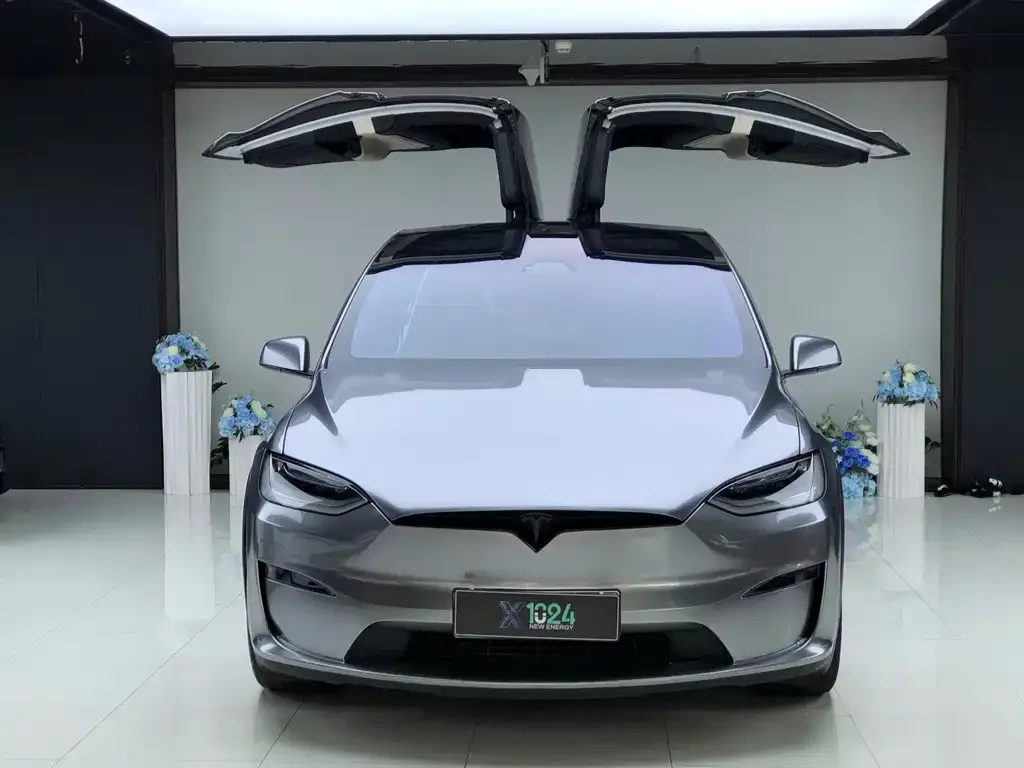 Tesla Model X — фото 7