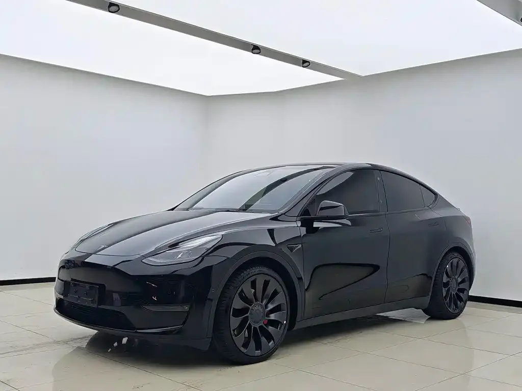 Tesla Model Y — фото 1
