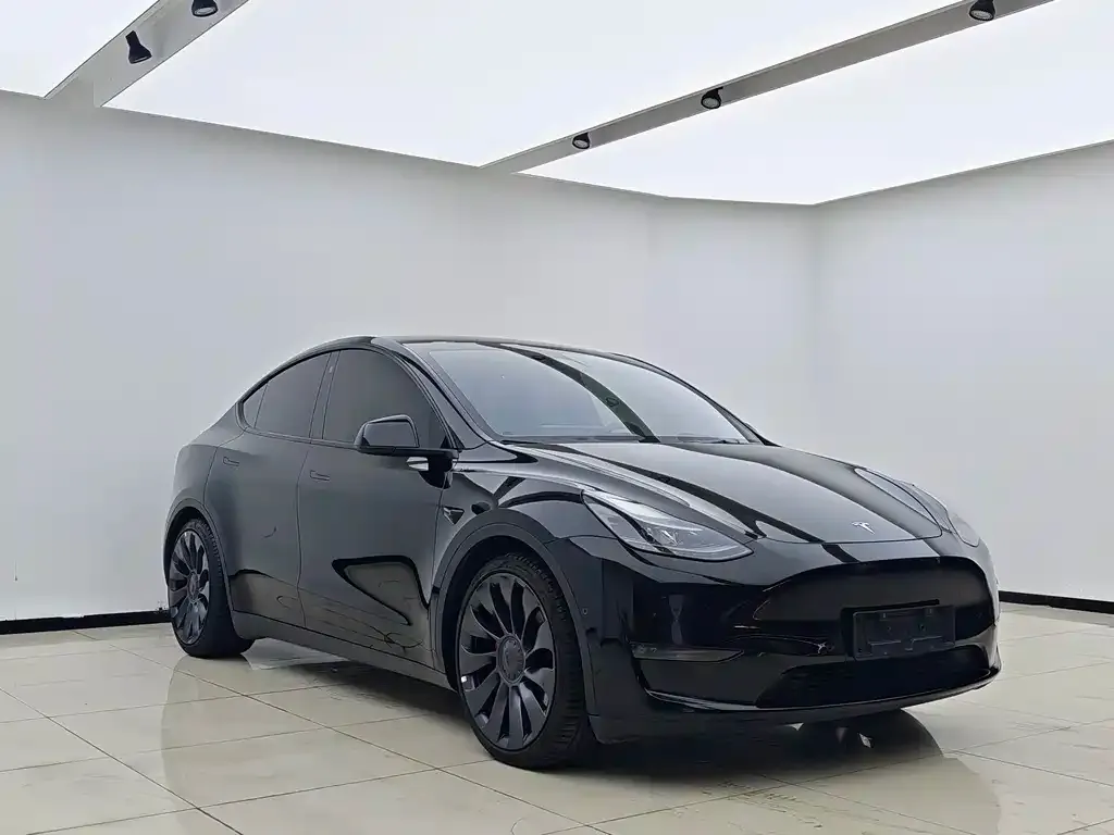 Tesla Model Y — фото 8
