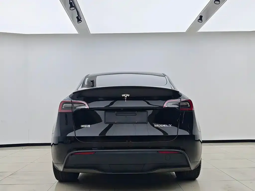 Tesla Model Y — фото 2