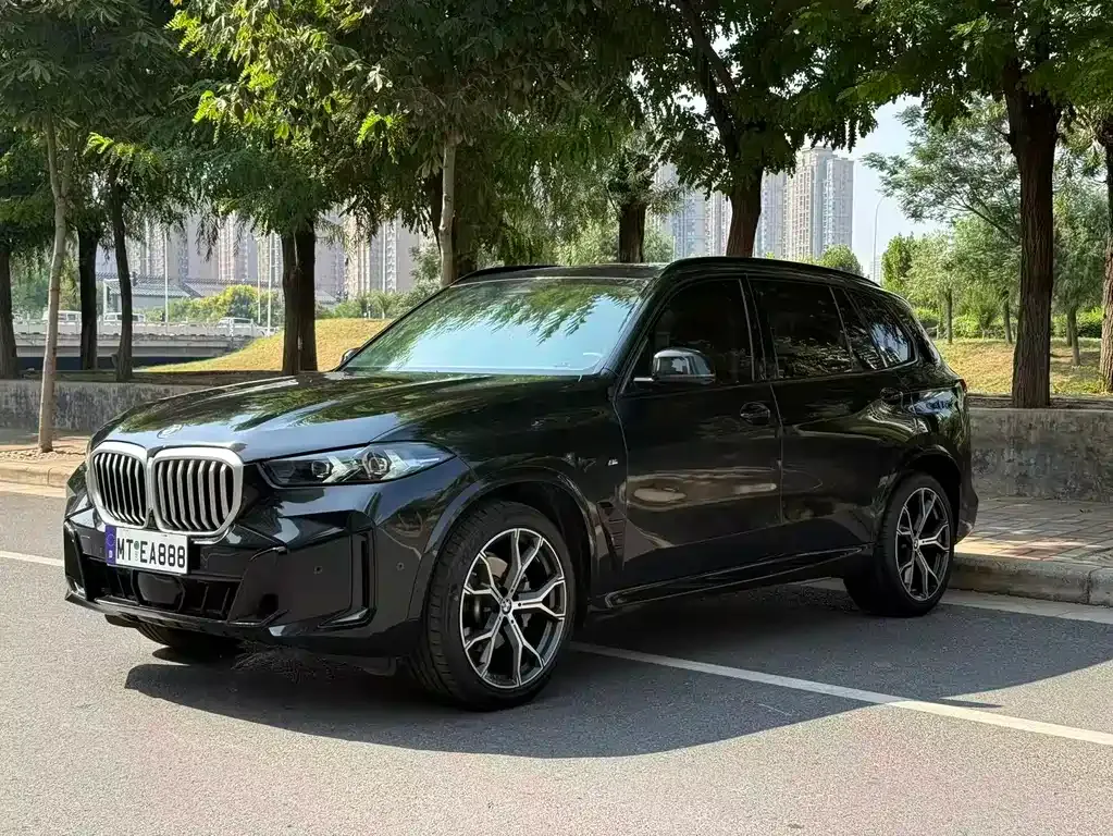 BMW X5 — фото 1