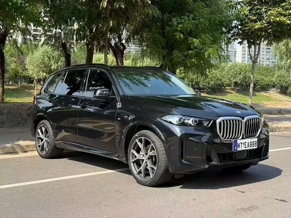 BMW X5 — фото 8