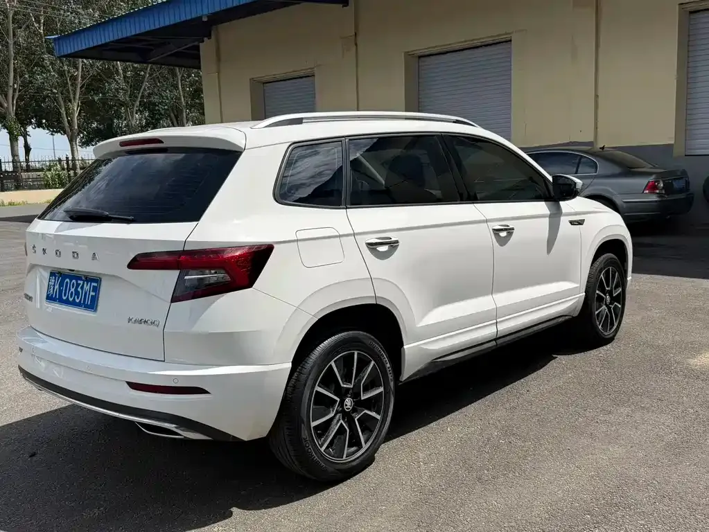 Skoda Karoq — фото 3