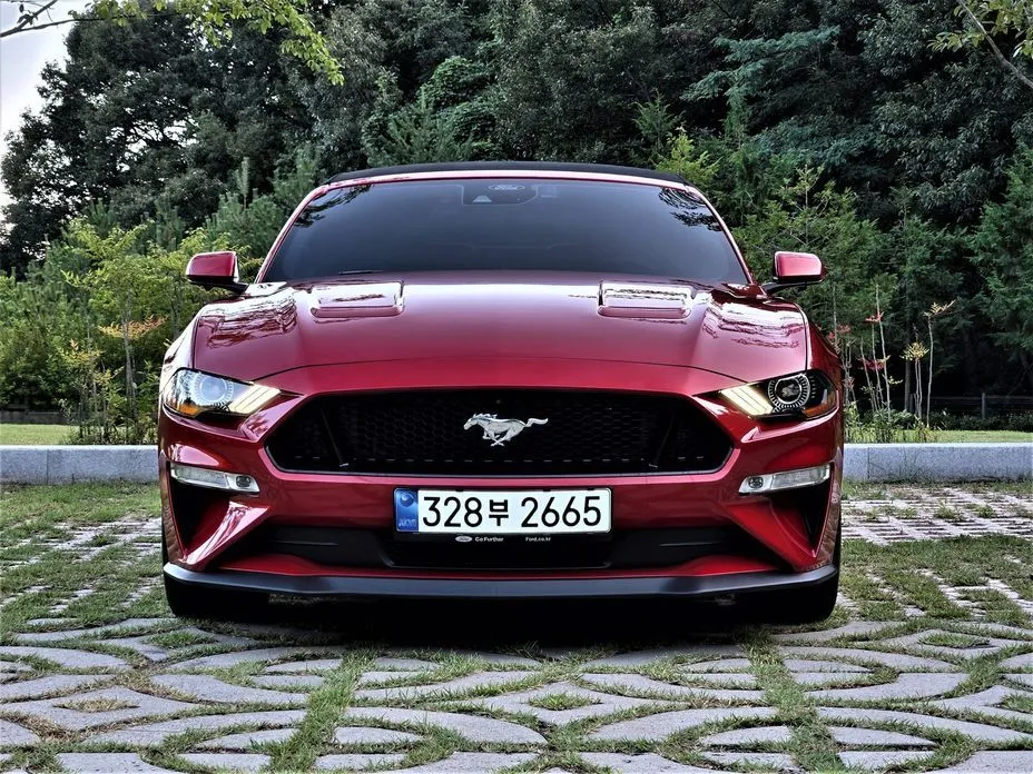 Ford Mustang — фото 5