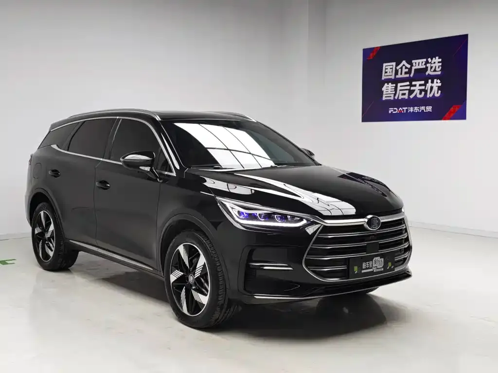 BYD Tang New Energy — фото 2