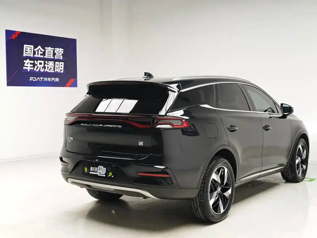 BYD Tang New Energy — фото 6