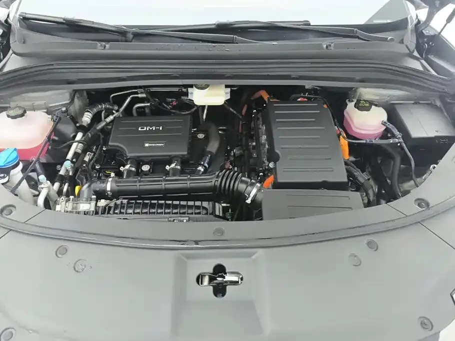 BYD L DM-i — фото 10