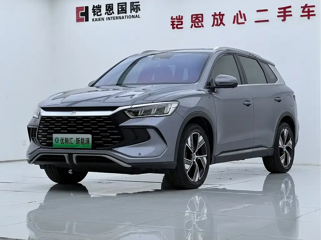 BYD Pro New Energy — фото 1
