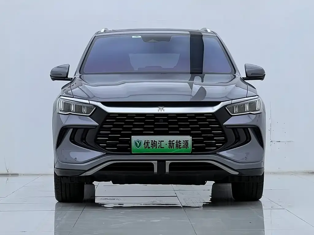 BYD Pro New Energy — фото 6