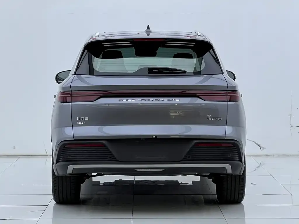 BYD Pro New Energy — фото 4