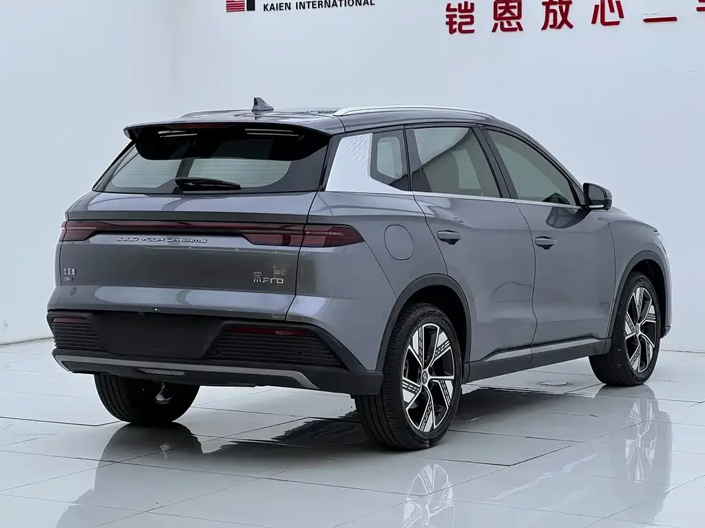 BYD Pro New Energy — фото 8