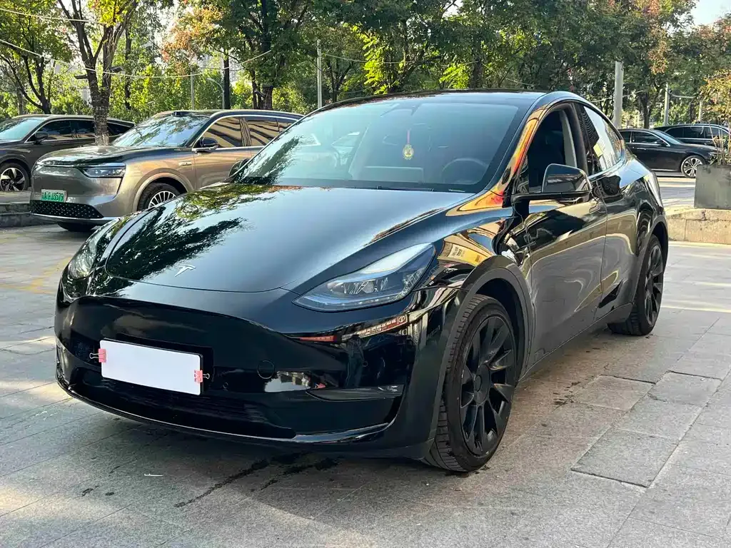 Tesla Model Y — фото 1