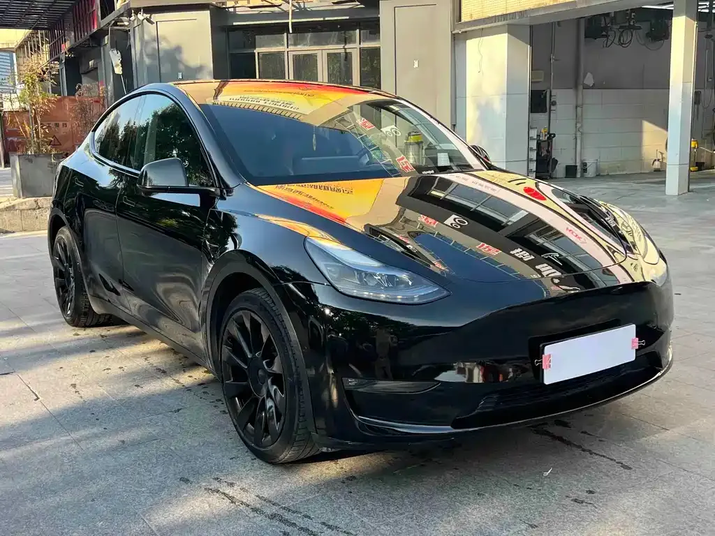 Tesla Model Y — фото 6