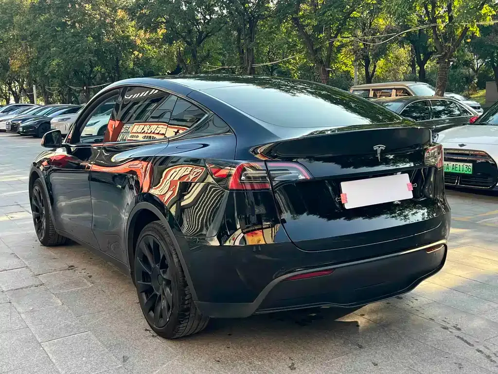 Tesla Model Y — фото 10