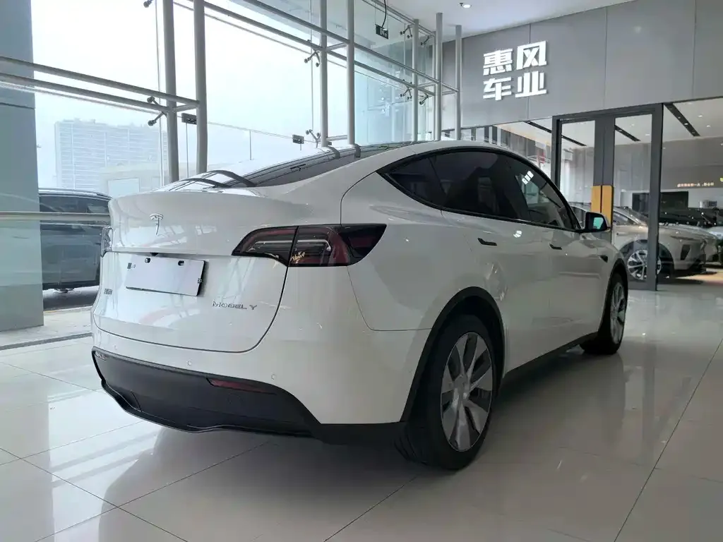 Tesla Model Y — фото 4