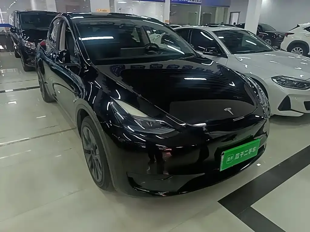 Tesla Model Y — фото 3