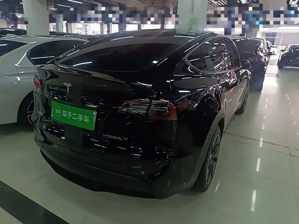 Tesla Model Y — фото 9