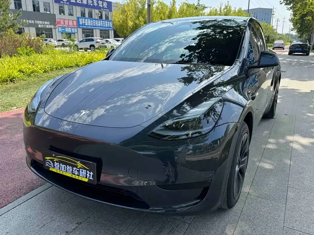 Tesla Model Y — фото 1