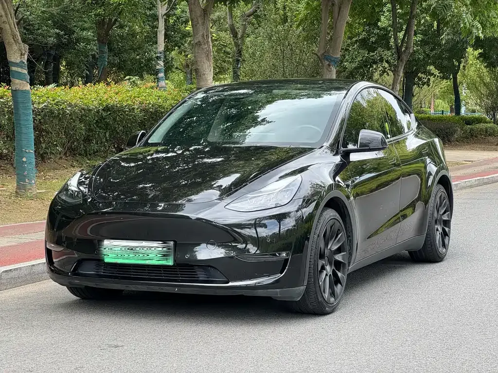 Tesla Model Y — фото 1