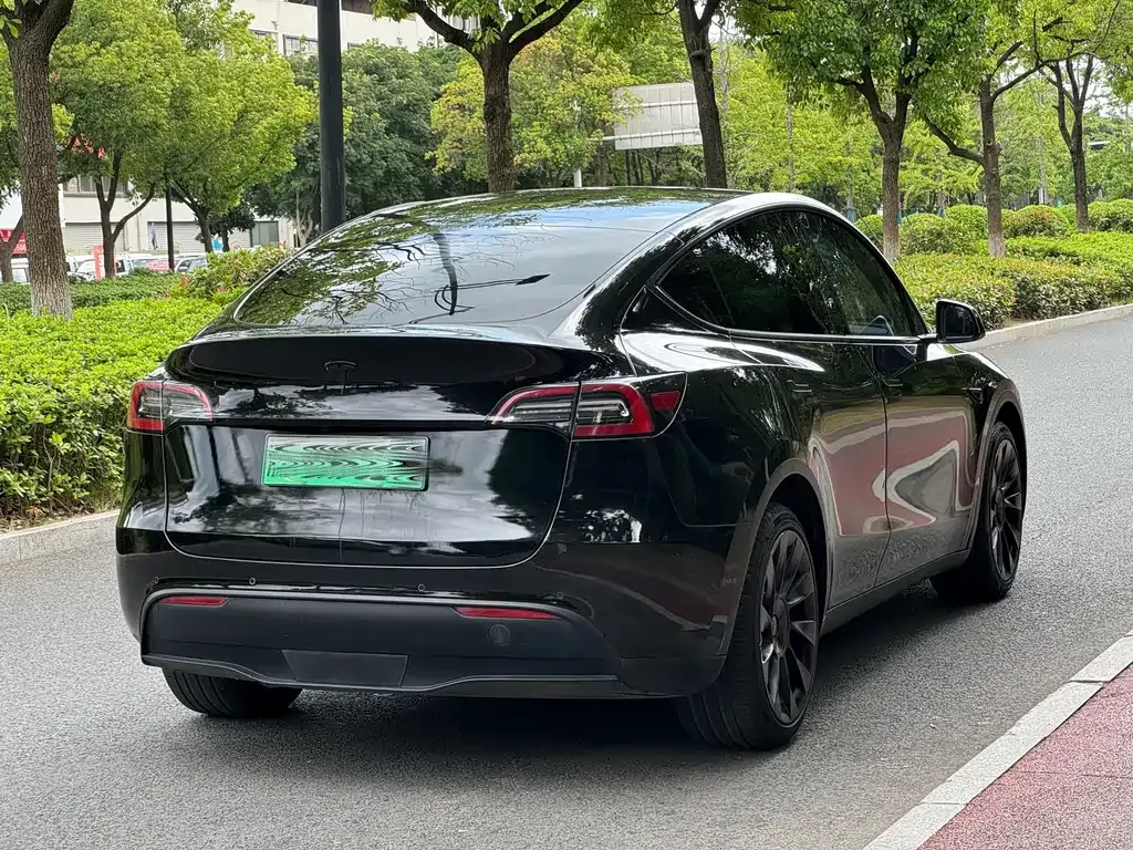 Tesla Model Y — фото 8