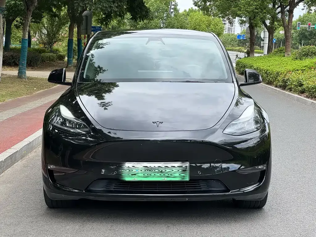 Tesla Model Y — фото 7