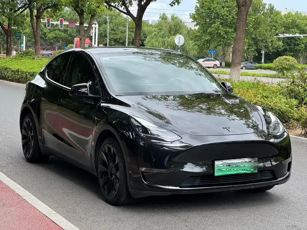 Tesla Model Y — фото 9