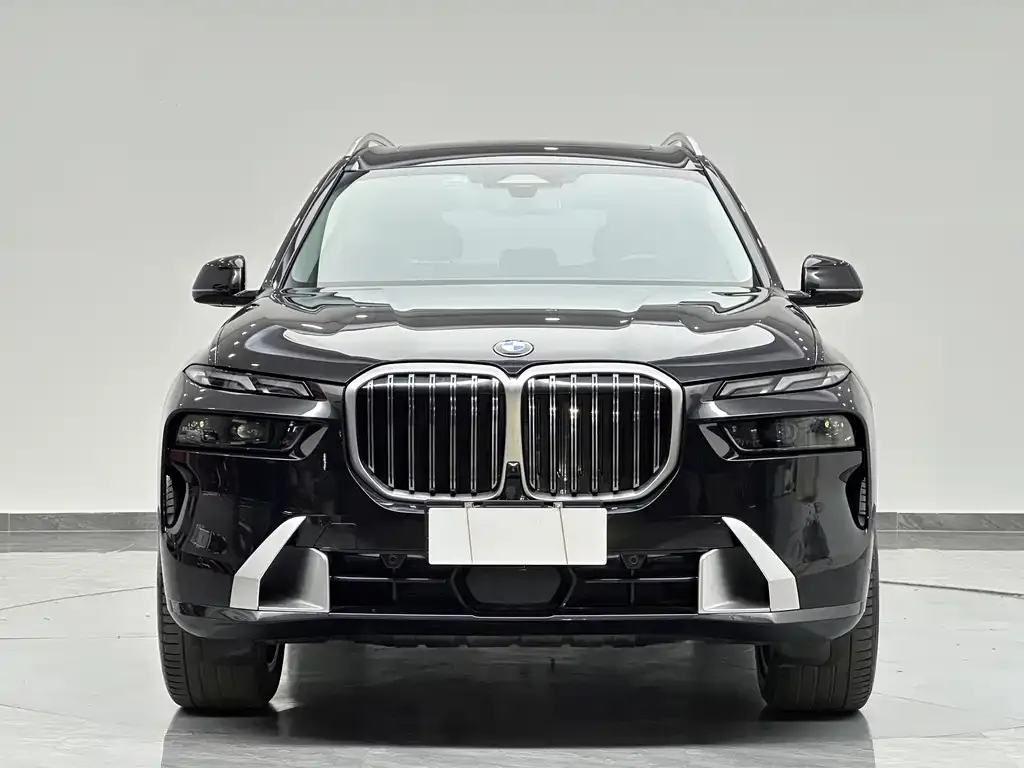 BMW X7 — фото 8