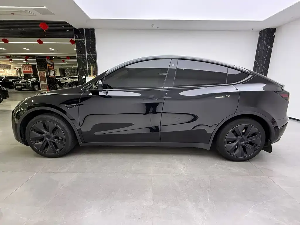 Tesla Model Y — фото 10