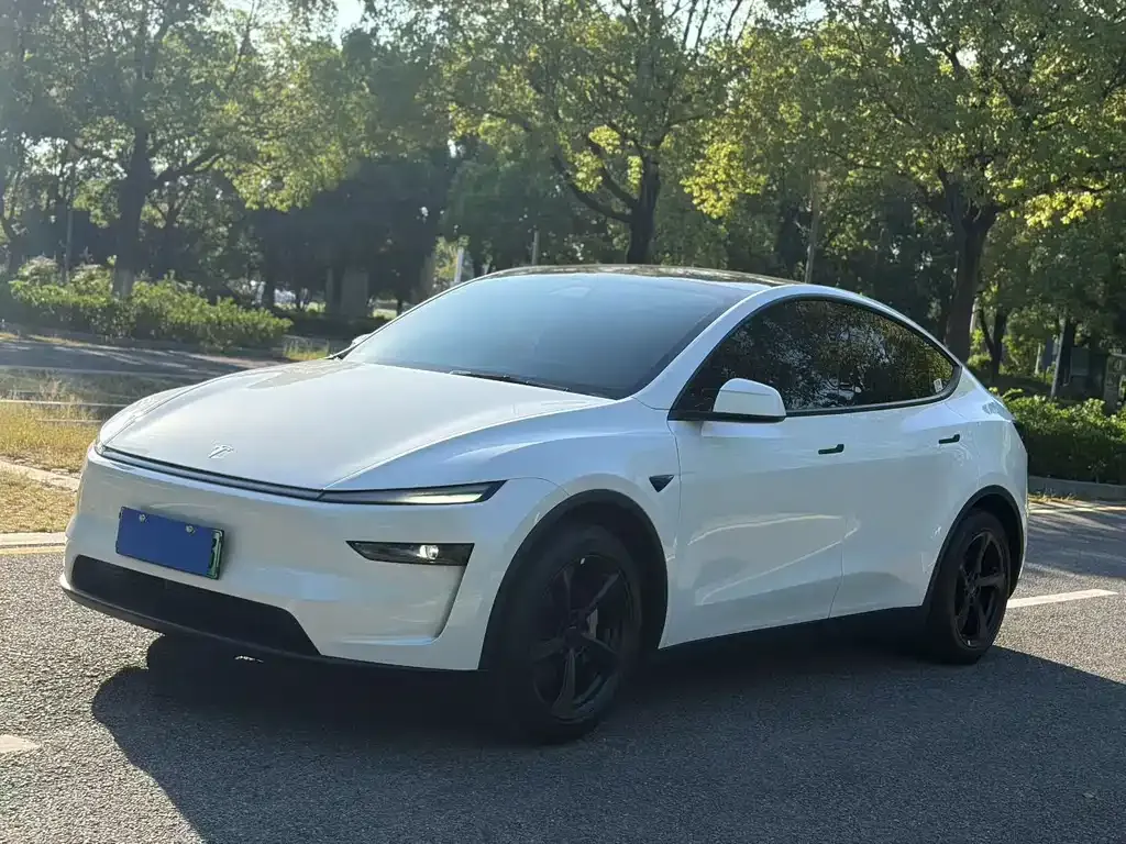 Tesla Model Y — фото 1