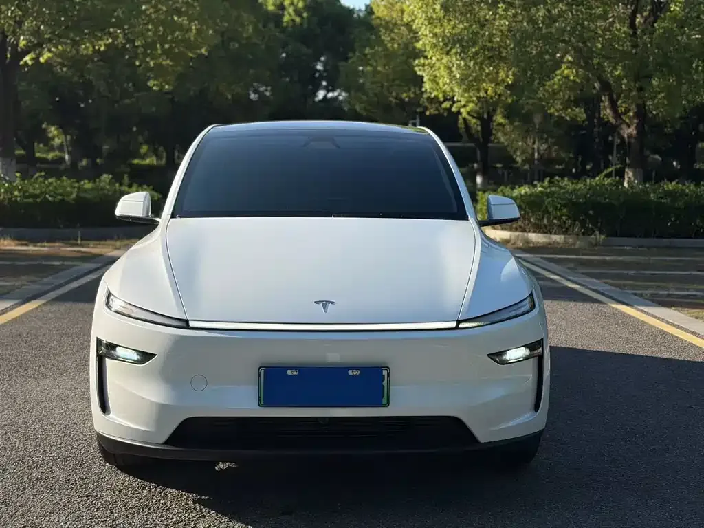 Tesla Model Y — фото 2
