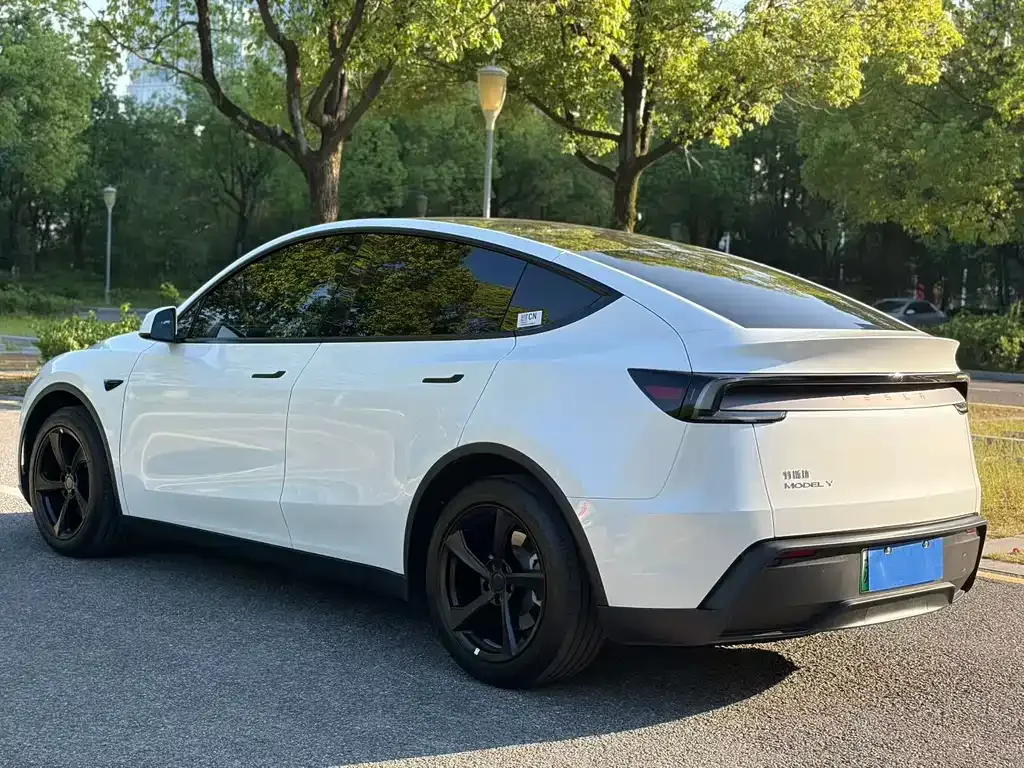 Tesla Model Y — фото 9