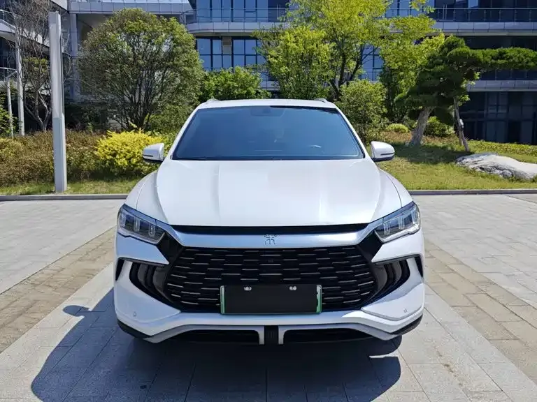 BYD Pro New Energy — фото 4