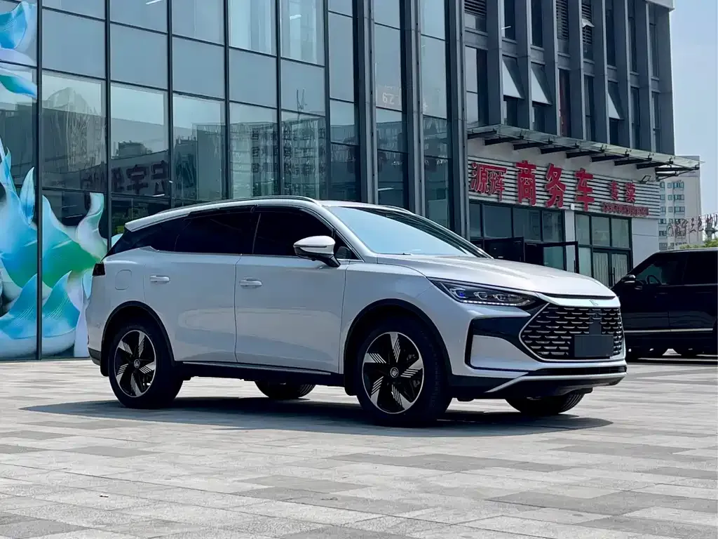 BYD Tang New Energy — фото 2