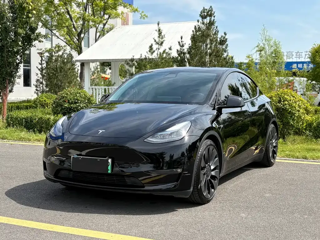 Tesla Model Y — фото 1