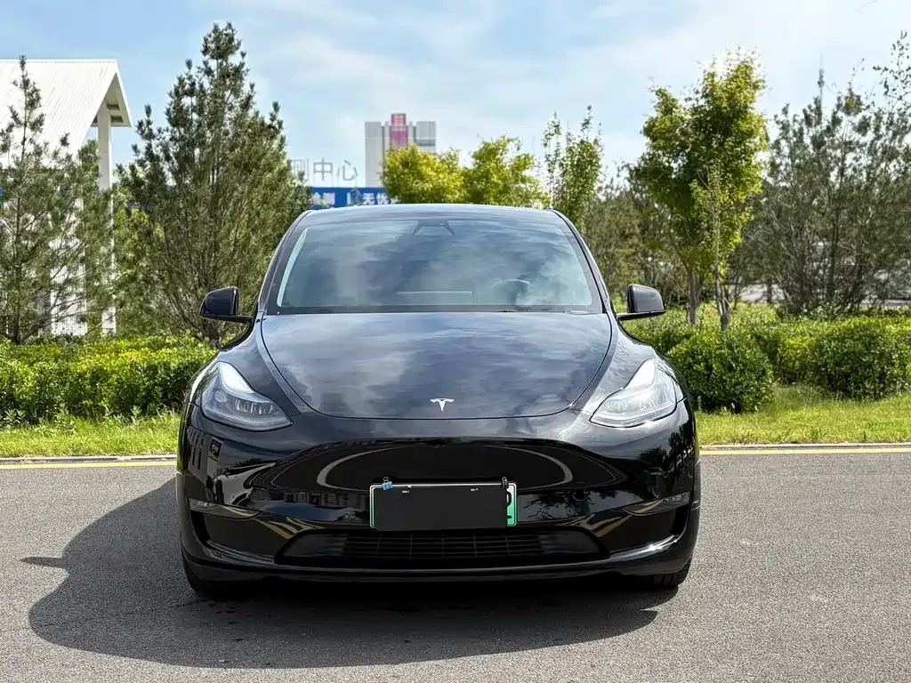 Tesla Model Y — фото 5