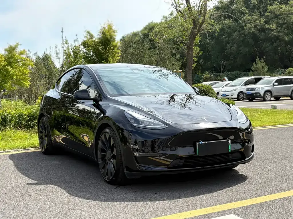 Tesla Model Y — фото 8