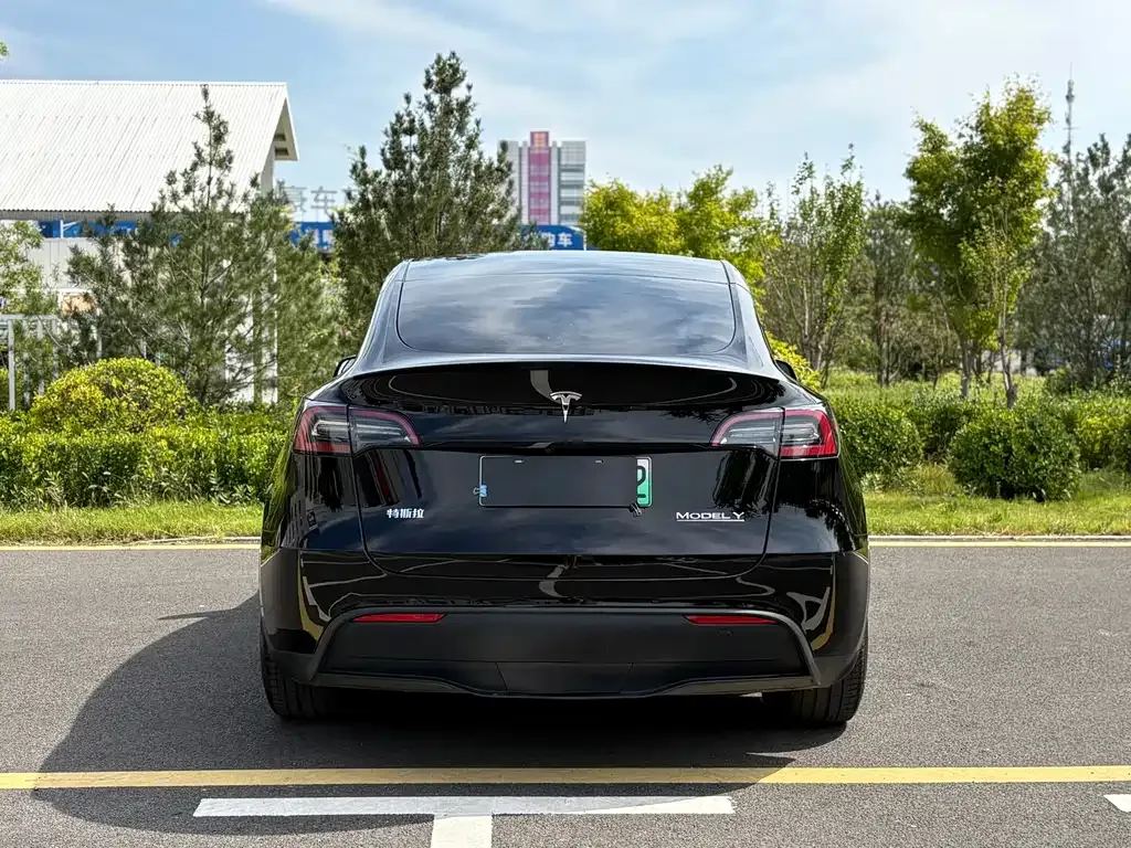 Tesla Model Y — фото 6