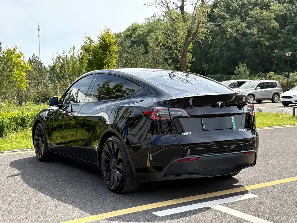 Tesla Model Y — фото 9