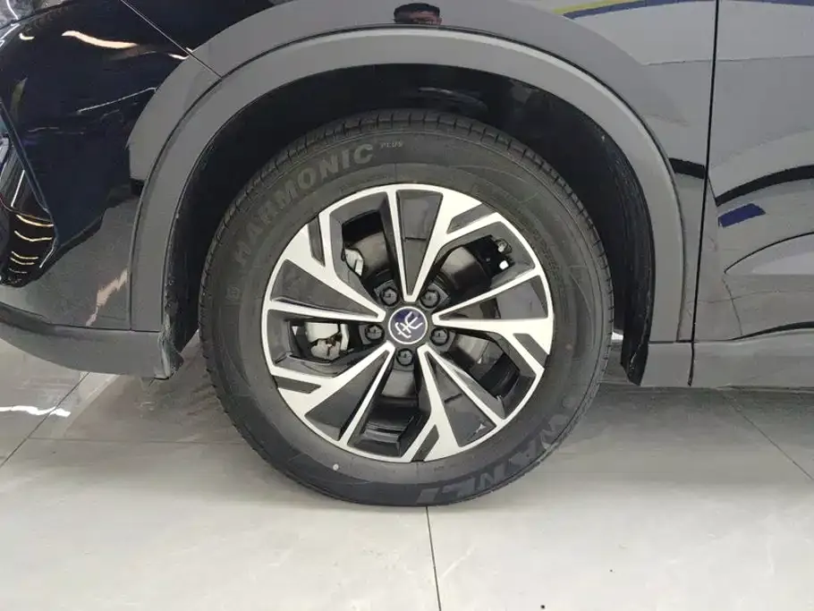 BYD Pro New Energy — фото 3